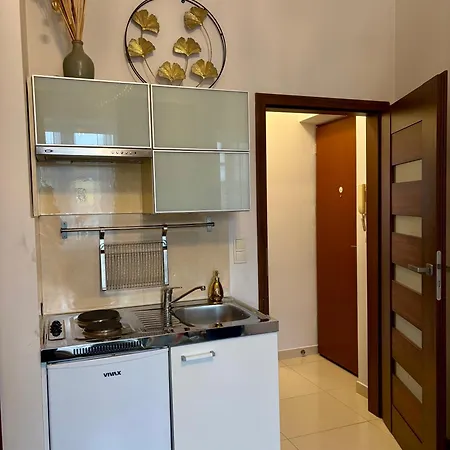 Vintage Krowoderska Apartamento